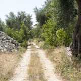 Per raggiungerla dalla statale 16 bis imbocchiamo l'uscita "Giovinazzo sud" e percorriamo la complanare lato monte. Svoltiamo quindi subito a destra in strada comunale Sant'Eustachio, tracciato parzialmente asfaltato che scavalca l'autostrada e in tre chilometri ci porta quasi a destinazione